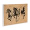 Stupell Industries Running Free Horse Trio Wall Plaque, design by Petal Prints Design